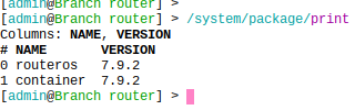 System package printout from RouterOS CLI